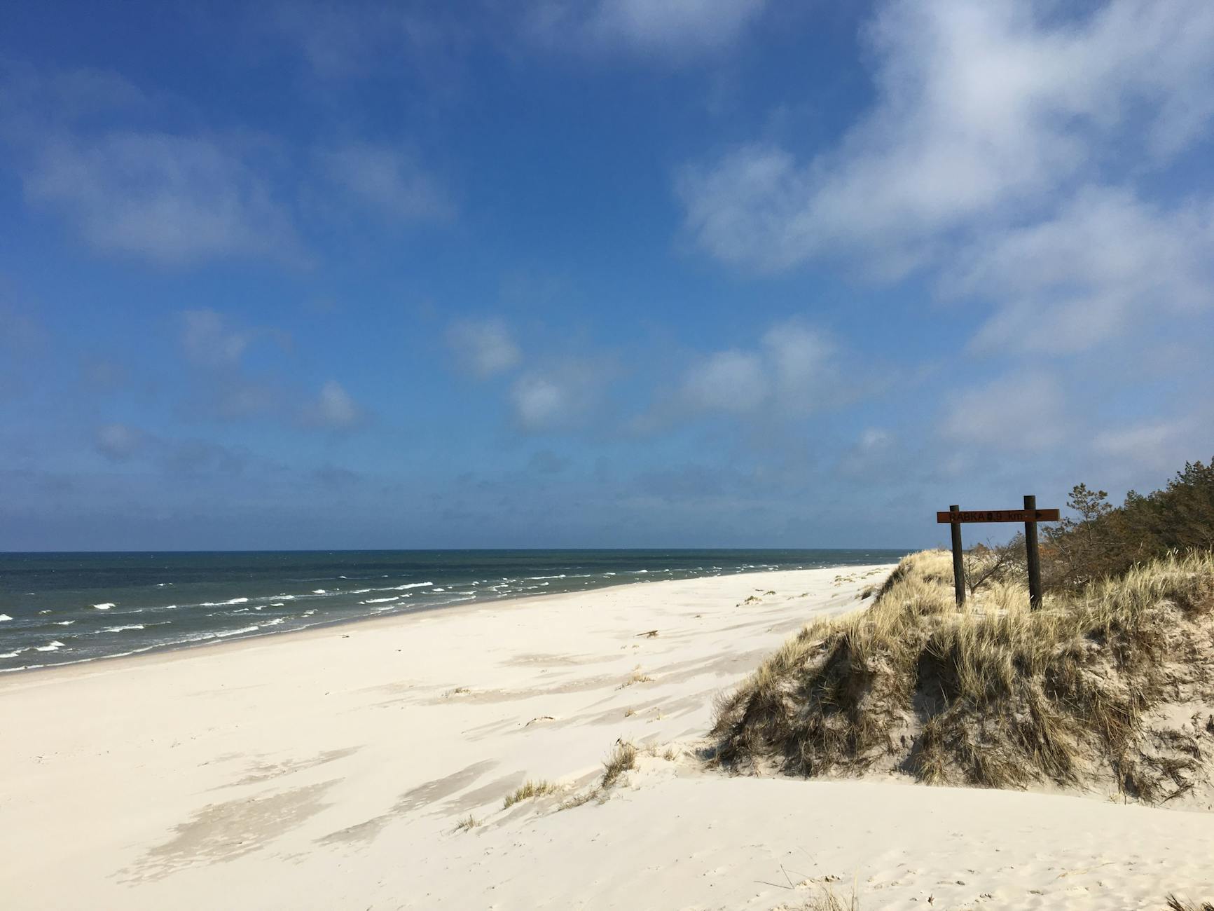 Wydmy w Łebie i pusta, piaszczysta plaża nad Bałtykiem pod błękitnym niebem