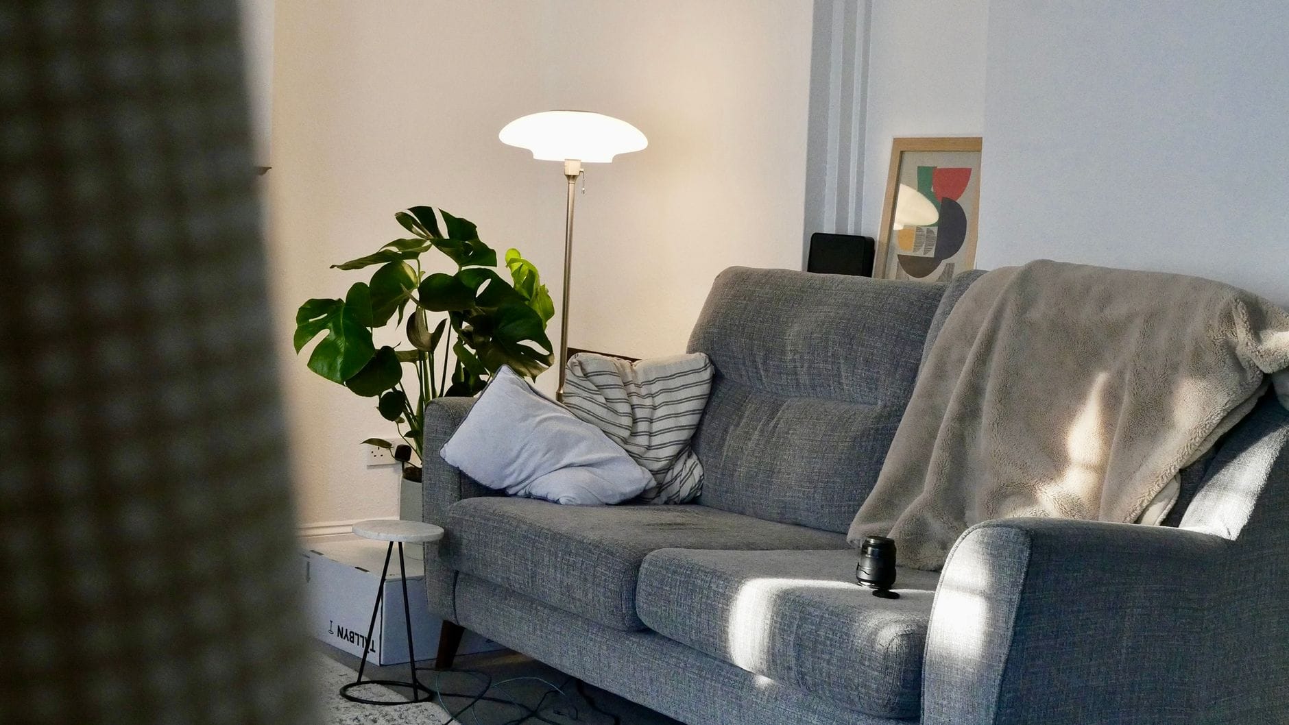 Przytulny salon minimalistyczny z szarą sofą i rośliną w porannym słońcu Przytulny salon minimalistyczny z szarą sofą i rośliną w porannym słońcu